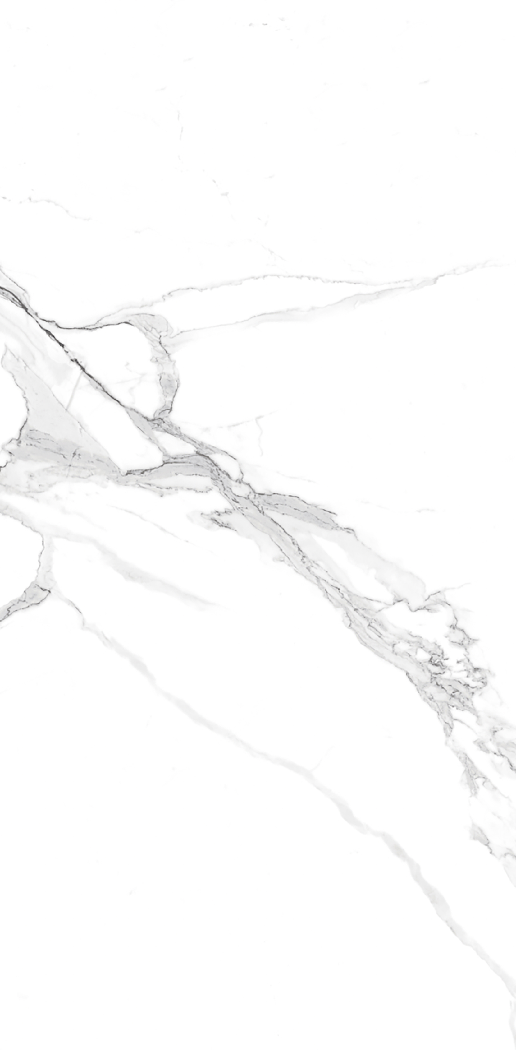 Керамогранит Prima Statuario 600х1200